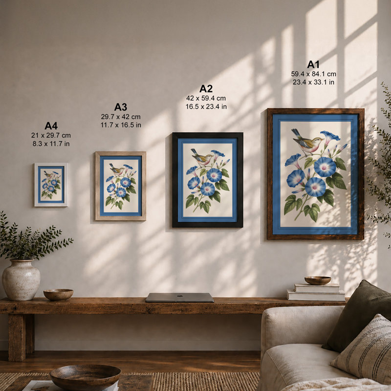 Songbird with Morning Glories Botanical - Framed Print, A3 - 42.0 x 29.7 cm, Black