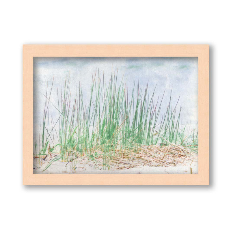 Herbe sur la plage par Hal Halli. Impression sur papier - Montée et encadrée, H 34 po x l 44 po