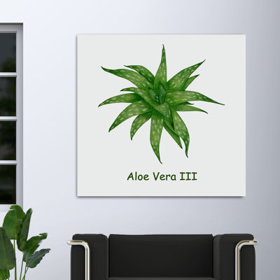 Collection Cacti - reproduction sur toile tendue