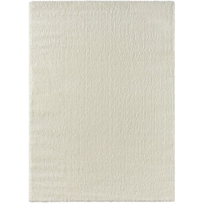 Solid Color Machine Woven Polypropylene Shag Area Rug