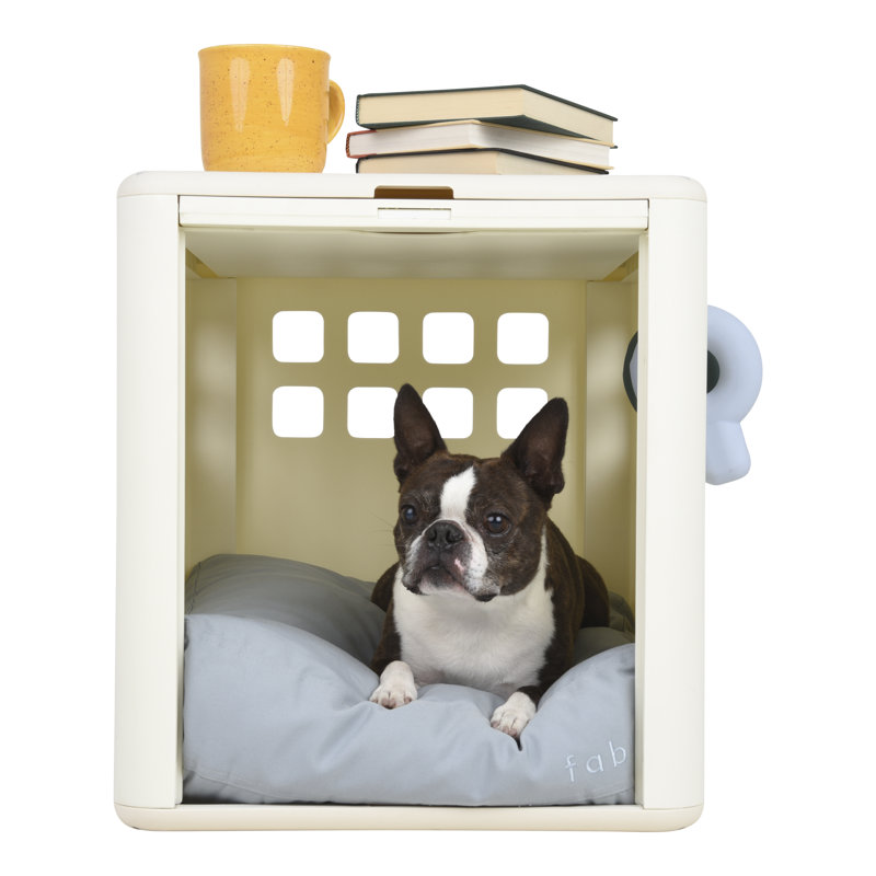 Plastic Pet Crate with 1 Door