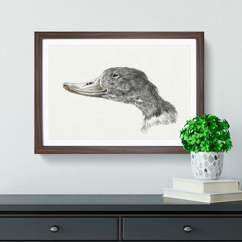 Head of a Duck by Jean Bernard - Picture Frame Drawing Print, 48cm H x 65cm W x 2cm D, Walnut Framed
