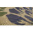 Hagy Modern Floral Textured Weave Navy/Green Indoor/Outdoor Rug-784718829