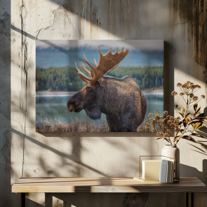 Wrapped Canvas Print, 50.8cm H x 76.2cm W