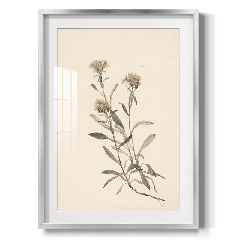 Imprimé floral rétro CXCIX - impression encadrée, Argent
