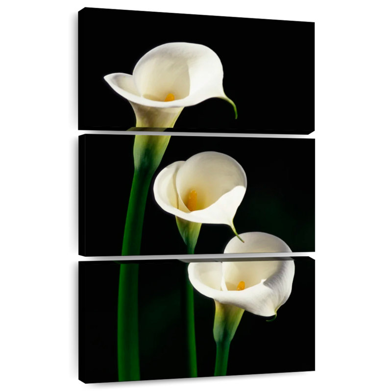 Harnek trois lys blancs Calla