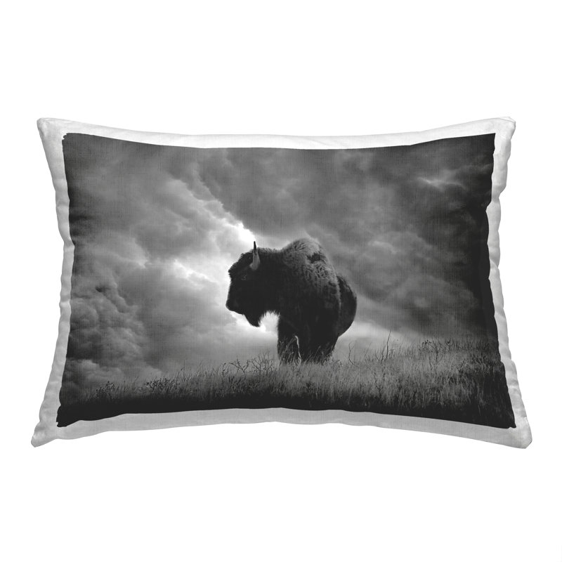  Polyester Throw Pillow