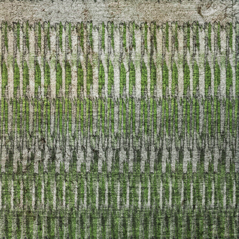 Tapis à poil long de qualité supérieure lavable à la machine Dream ADS589, Green, 3' x 5'