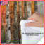 Birch Trees Sunset Comforter-125233349