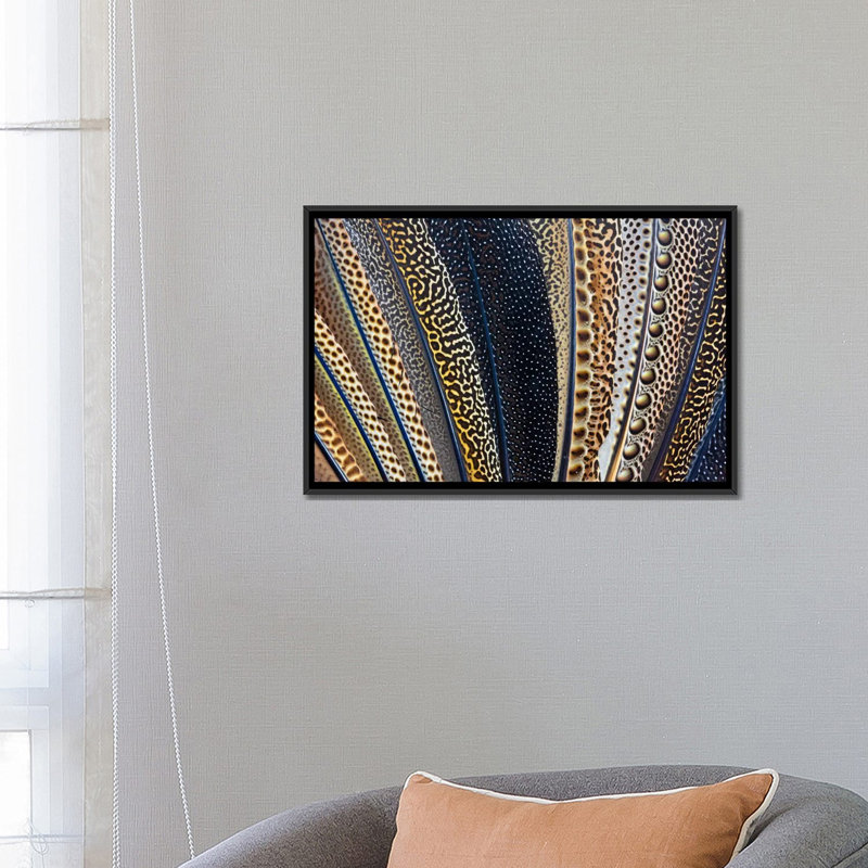 « argus solar faisan à oreilles macro-photographie », reproduction de photo sur toile, H 18 po x l 26 po x P 1,5 po