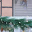Guirlande 20 pi