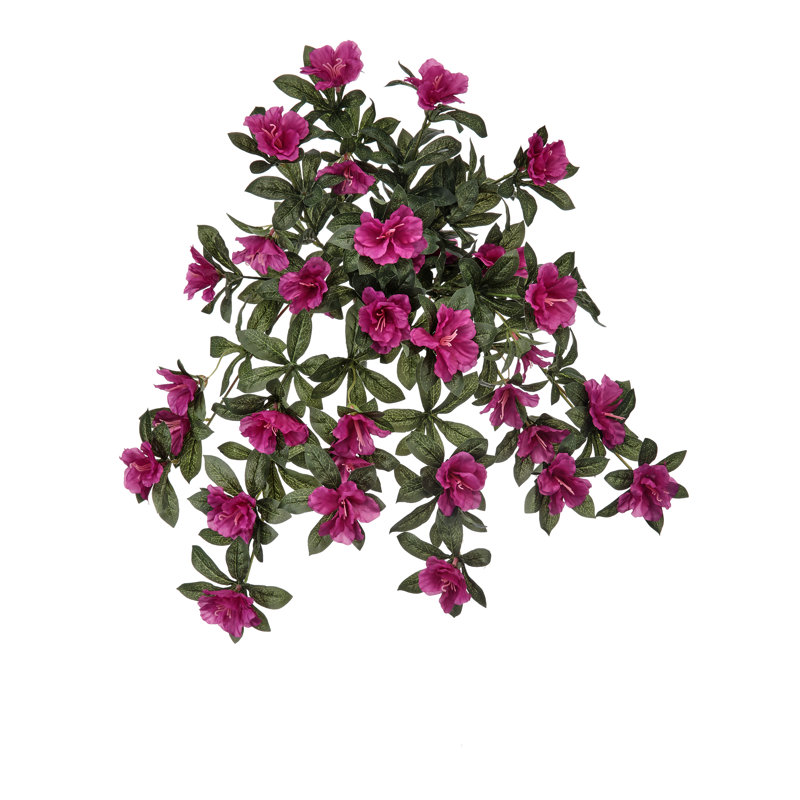 24" Uv Hanging Azalea Plant
