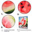 «Summertime Watermelon Fruit 2 - Fruits», art mural-64411024