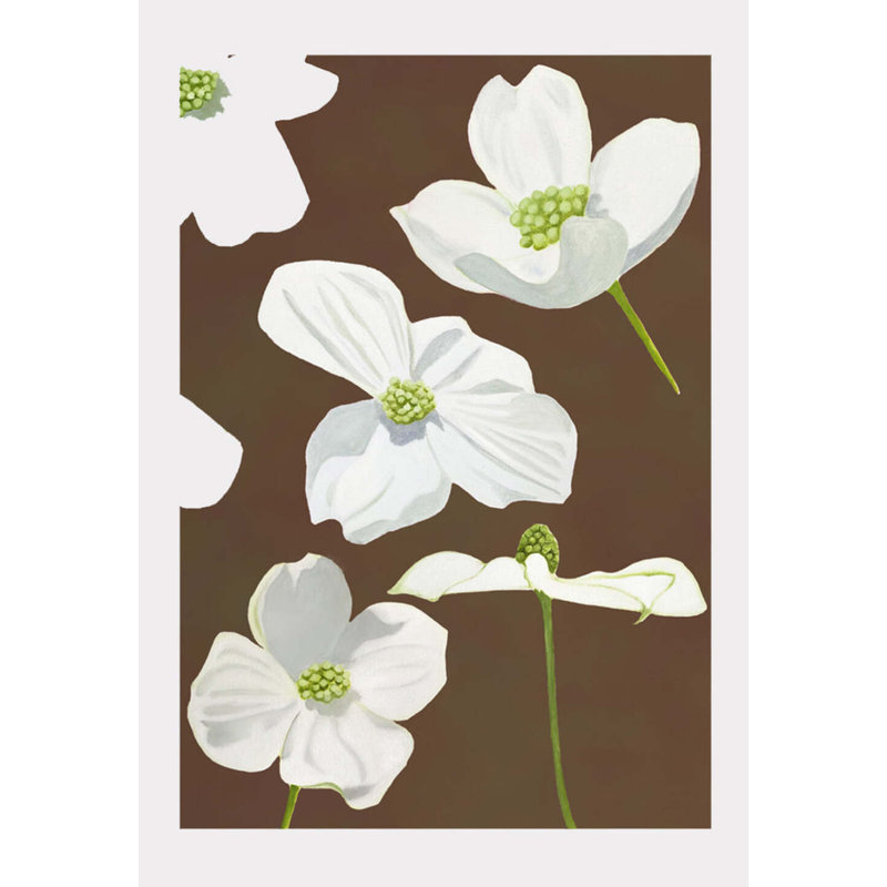 White Dogwood Blossoms Print, 11" H x 8.5" W, Earth