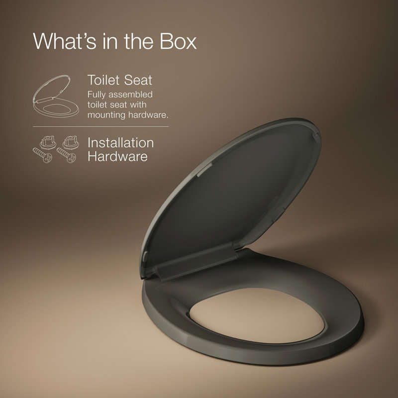 Lustra with Quick-Release Hinges Toilet Seat, Thunder Gray, Round