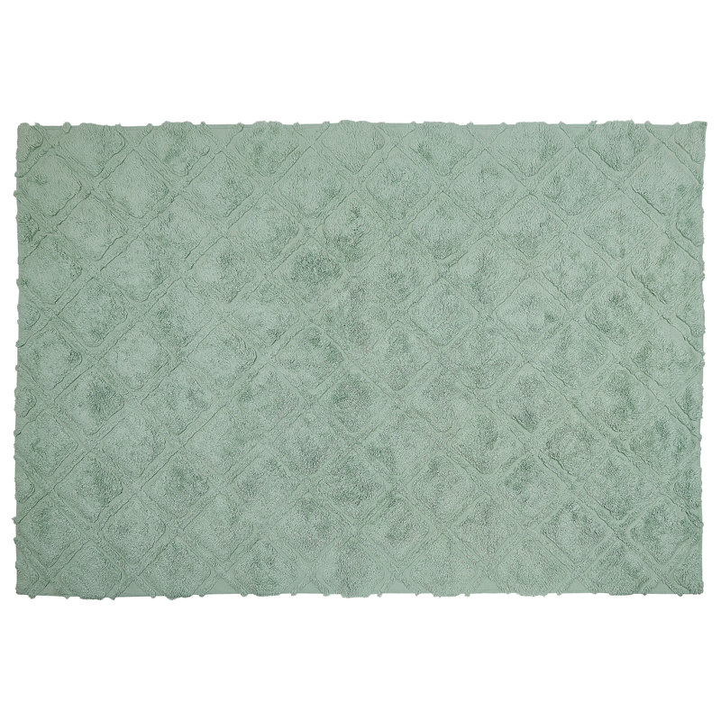 Opelika Geometric Hand Woven Area Rug, Rectangle 140 x 200cm