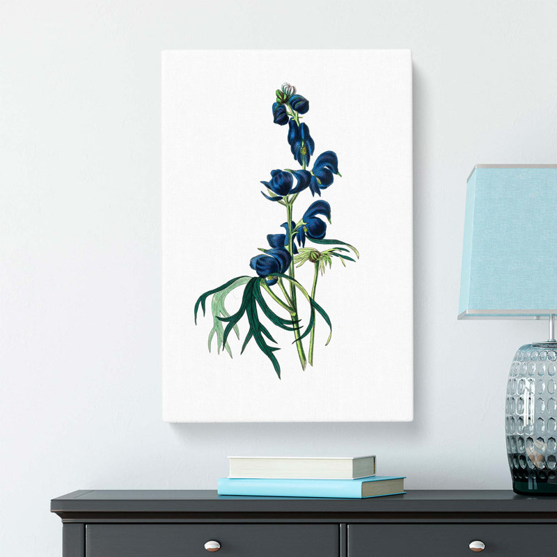 Wolfsbane Flowers Illustration - Wrapped Canvas Painting, 60cm H x 40cm W x 3cm D