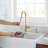Parma Cafe Single Handle Pull Down Sprayer Kitchen Faucet-53545546