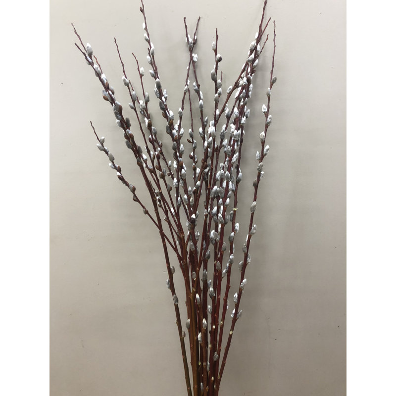 Natural Fibres Pussy Willow Arrangement
