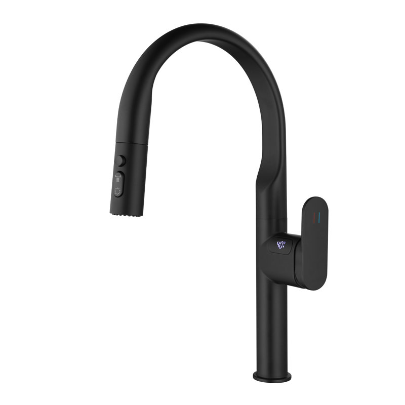 Robinet d'évier de cuisine extractible, robinet de lavabo monotrou avec affichage de la température, Noir mat