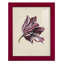 Antique Tulip Study III - Impression encadrée avec verre-605378406-605366425