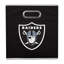 Panier NFL-1948913525