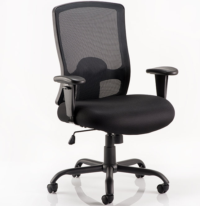 Riondet Polyester Blend Office Chair