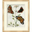 Butterfly Pattern 2 Print