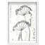 Botanical Shadow Shadowbox Floral & Botanical Print by Oliver Gal, Black Frame, 10 x 15-1127848338-1288654138