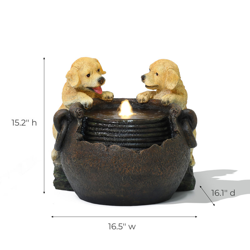 Fontaine d'extérieur pour chiot Asma