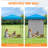 6x4 Canopy Tent, Heavy Duty Pop up Canopy with Sidewall-123292633