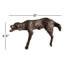 Animals Decorative Object