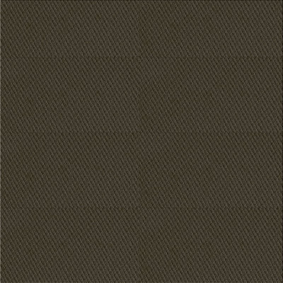 Indoor Rug
