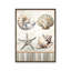 «Cape Cod Shores Seashells» par Nicole DeCamp, reproduction d'art-1579752338-1579752339-1579752342