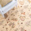 Agra Hand-Knotted Wool Beige/Yellow Area Rug-10492201