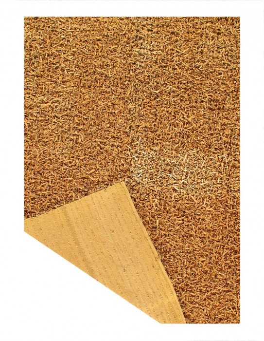 Tapis unique Dewald