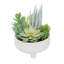 24cm Faux Succulent in Ceramic Pot