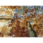 Brookhaven One-of-a-Kind 8'1" X 10'3" Area Rug