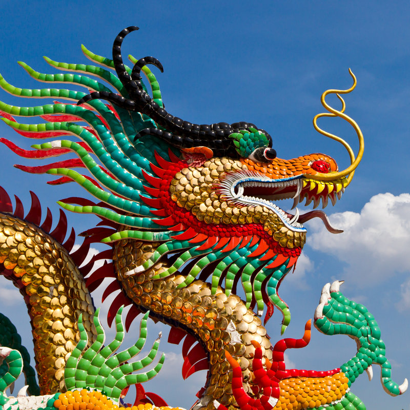 Dragon - Wrapped Canvas Print, 91cm H x 91cm W x 3.8cm D