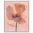 White Floater Frame selected