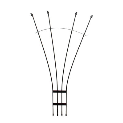 Goldenberg Steel Fan Trellis