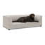 Canapé confortable surdimensionné pour animaux de compagnie de taille moyenne / grande - Conception rectangulaire moderne avec dossier, accoudoirs et coussin moelleux - beige (56,5 po x 26 po x 17 po)-1408559965