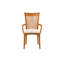 Sarah Upholstered Arm Chair-20804144-20804156