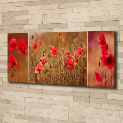 Poppy Triptych - Wrapped Canvas Print