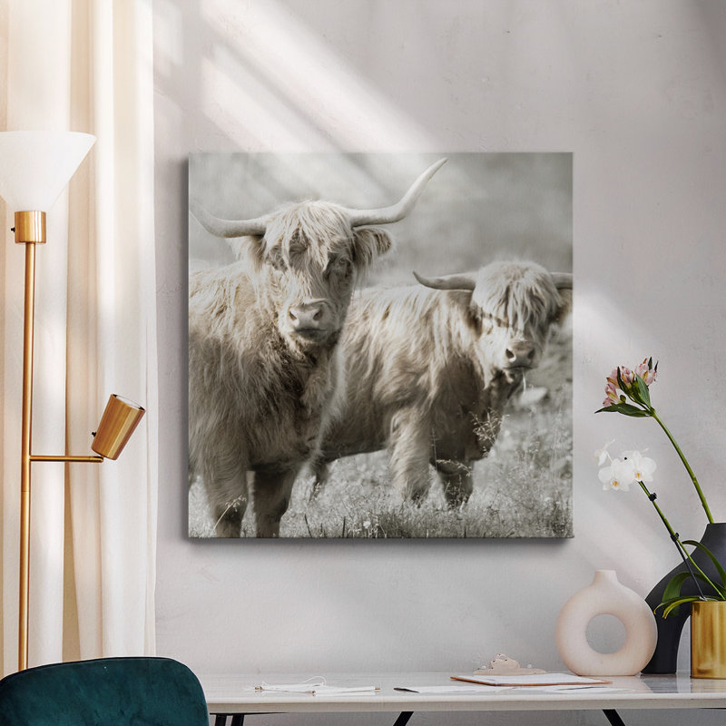 Poilu Highland Bulls - Toile tendue avec châssis de qualité supérieure - prêt à être accroché