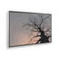 «Gnarled Tree I» par Michael Willett, reproduction d'art sur toile-860103984-860103983-860103980