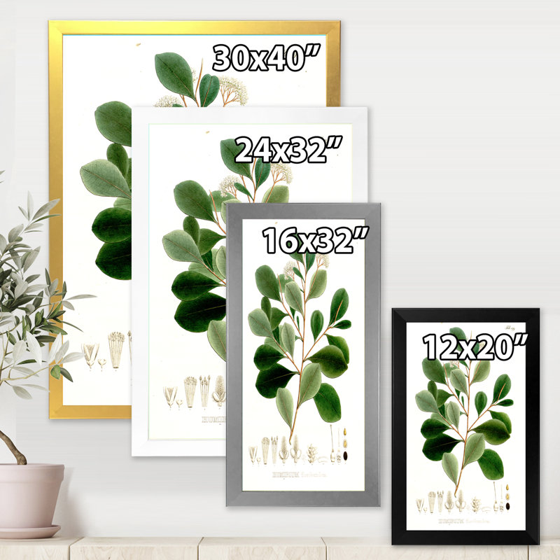 Vintage Botanicals IV - peinture sur toile, H 32 po x l 24 po x P 1 po, Cadre doré