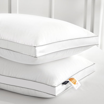 Oreiller en duvet de plumes Globon Luxury
