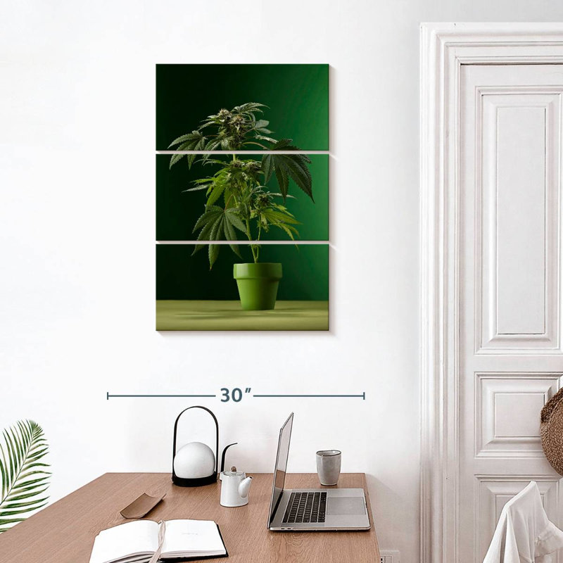 Plante de marihuana en pot Harnek, H 32 po x l 20 po