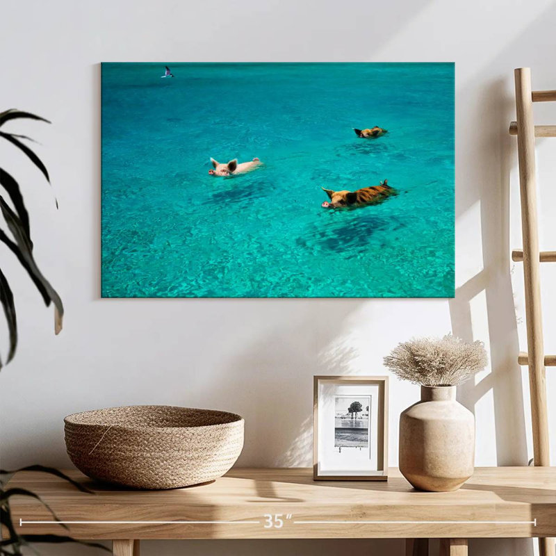 Brampt Pigs In Exuma Cays, 20" H x 30" W